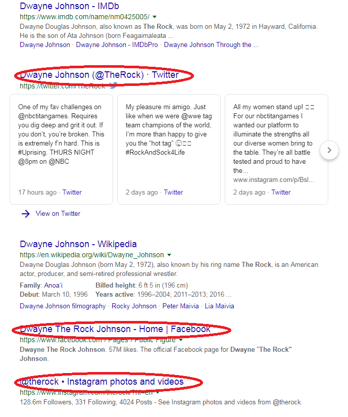 Screenshot of The Rock's search engine results.