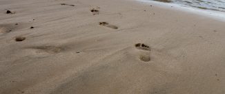 footprints on the sand beach