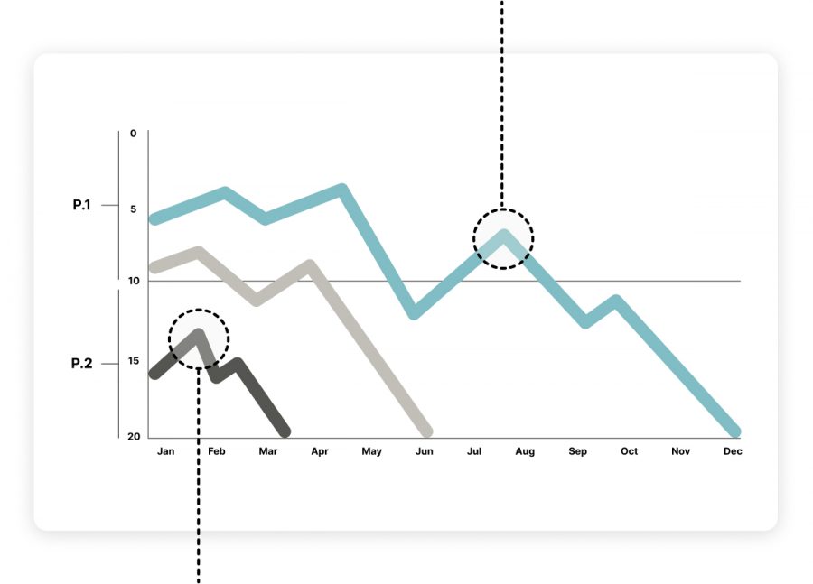 special projects reporting excerpt